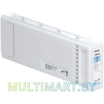 Картридж Epson C13T891500